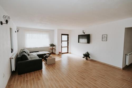 ein Wohnzimmer mit einem Sofa und einem TV in der Unterkunft CASA ALMI in Polovragi