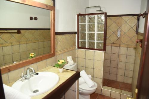een badkamer met een wastafel en een toilet bij Hotel Rural Finca La Hacienda in Los Silos