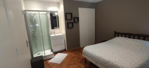 a bedroom with a shower and a bed and a sink at Le relais de La Poste 1 in Colombey-les-deux-Églises