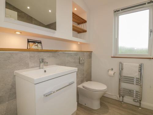 a bathroom with a white sink and a toilet at 7 Faraway Fields in Liskeard