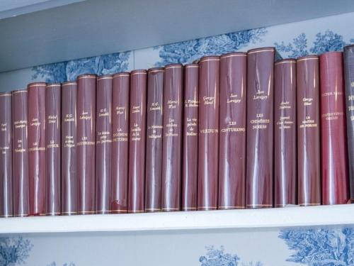 a row of books sitting on a shelf at Gîte pour 12 face au château de Thillombois avec jardin, cheminée et équipements PMR - FR-1-585-38 in Thillombois