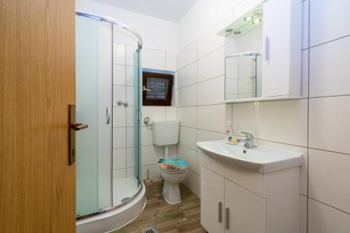 a bathroom with a shower and a sink and a toilet at Apartments by the sea Mandre, Pag - 3084 in Kolan