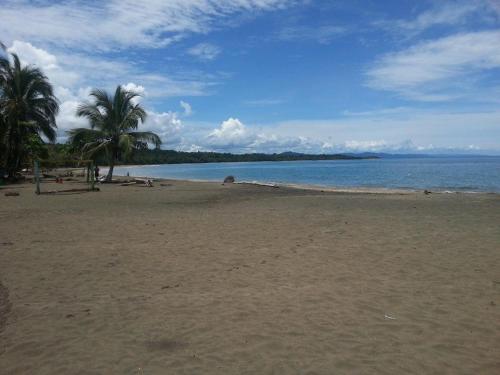 a sandy beach with palm trees and the ocean at Cabinas Manzanillo Caribe in Manzanillo