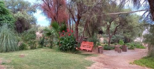 um banco vermelho sentado no meio de um jardim em Hostel Villa Castelli em Villa Castelli