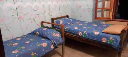 duas camas individuais num quarto com flores na parede em Hostel Villa Castelli em Villa Castelli