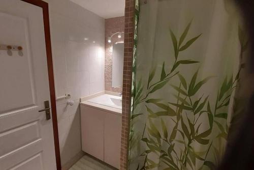 a bathroom with a shower curtain and a sink at SeaBird Studio in Saint Martin