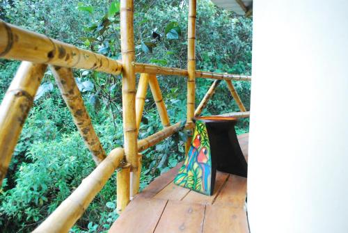 Ayen Bienestar Ancestral – Photos 3