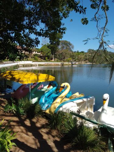 a group of swans in a lake with an umbrella at Cantinho da Vovó Regina in Miguel Pereira