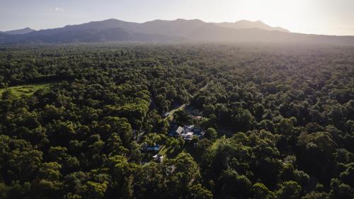 an aerial view of a forest with mountains in the background at Ferns Hideaway Resort in Byfield