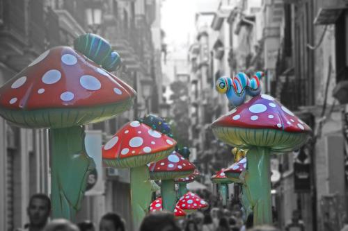 a group of mushrooms signs on a city street at Beach & Urban Attic in Alicante