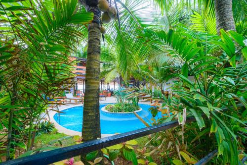 una vista aérea de la piscina del complejo con palmeras en Simrose, en Agonda