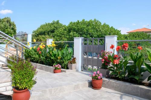 a garden with flowers and plants in pots at Ninemia Studios in Limenas