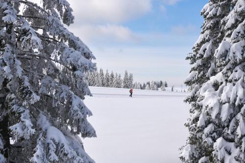 a person walking in the snow between snow covered trees at Hotel Natura in Zreče