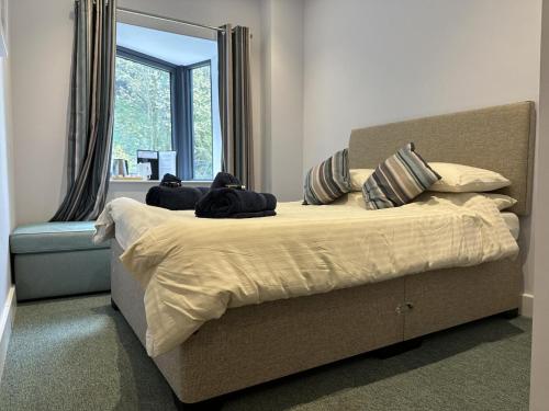 a bedroom with a bed with two dogs laying on it at No 9 Ocean Cabins - Saundersfoot Harbour - Saundersfoot in Saundersfoot