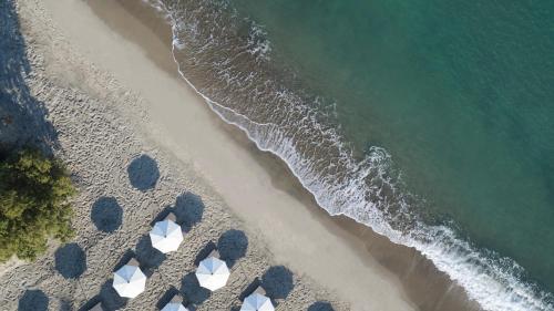 una vista aérea de una playa con el océano en Neptune Luxury Resort en Mastichari