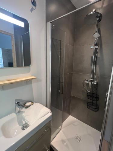 La salle de bains est pourvue d'une douche et d'un lavabo. dans l'établissement Le Bjorn - T1 chaleureux refait à neuf - Centre, à Niort