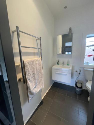 a bathroom with a sink and a toilet and a mirror at Loft Apartment Cape Town The Waterkant in Cape Town
