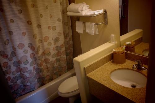 La salle de bains est pourvue d'un lavabo, de toilettes et d'une douche. dans l'établissement Chandler Inn, à Chandler
