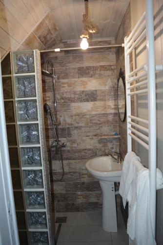 a bathroom with a toilet and a sink and a shower at cabana din padure in Finiş