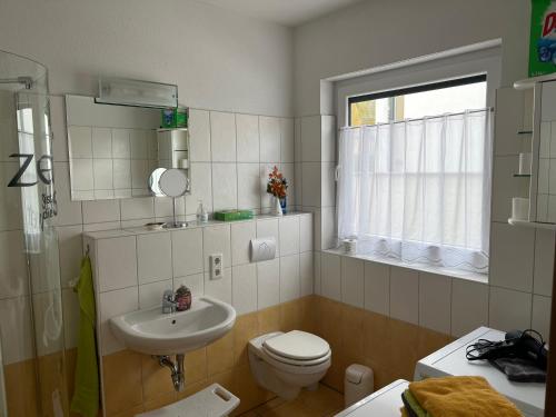 een badkamer met een wastafel, een toilet en een raam bij Elbidyll in Maagdenburg