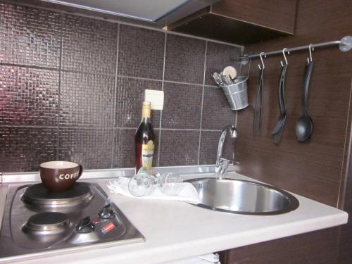 fregadero de cocina con una botella de vino en la barra en Villa Irida, en Potos