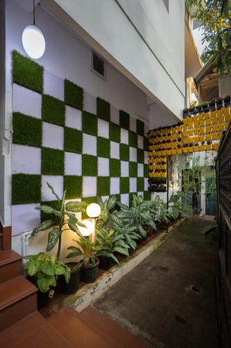 a row of plants against a wall with a checkered wall at Homested Homestay Fort Kochi in Cochin