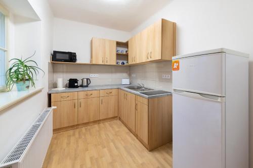Una cocina con refrigerador blanco y gabinetes de madera. en Zámek Nečtiny, en Netschetin