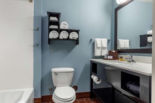 ein Badezimmer mit einem WC, einem Waschbecken und einem Spiegel in der Unterkunft Best Western Plus North Odessa Inn & Suites in Odessa