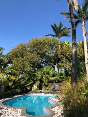 a swimming pool with palm trees in the background at Les Grands Monts in Saint-Joseph