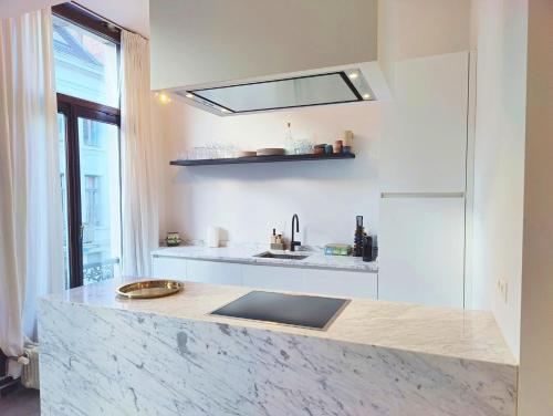 Traditional chic, High Ceilings' apt Aircos and Garageにあるキッチンまたは簡易キッチン