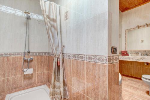a bathroom with a shower and a toilet at Casa Albryna Lanzarote in Tahiche