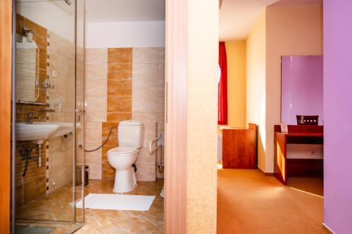 a bathroom with a toilet and a sink at Hotel Boss in Žilina