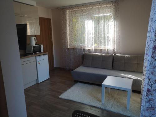 a small living room with a couch and a table at Kristinos apartment in Druskininkai