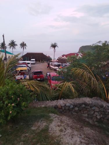 帕古普的住宿－BUENAVISTA'S beach TRAVELLERS INN，一群汽车停在一个棕榈树停车场