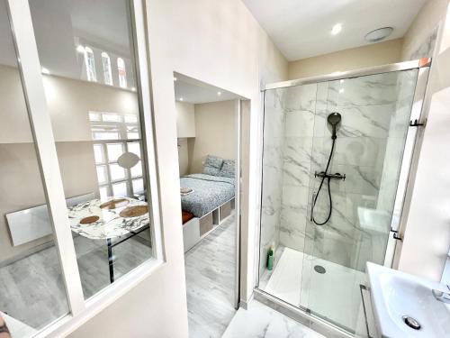 a bathroom with a shower and a sink at Toulouse : Studio équipé au cœur de St-Cyprien in Toulouse