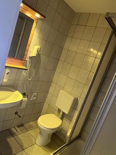 a bathroom with a toilet and a sink at Hotel Ziegenkrug - Pritzwalk in Pritzwalk