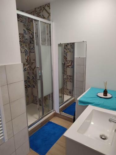 une salle de bain avec douche et lavabo dans l'établissement Le Belvédère du Vieux Port Plages centre et gare à pied, à Saint-Raphaël