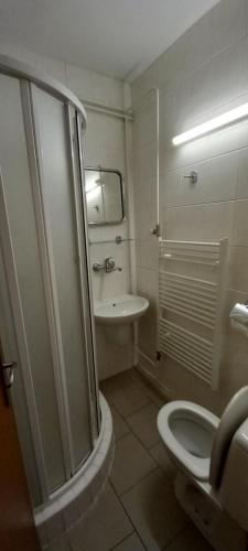 La salle de bains est pourvue de toilettes et d'un lavabo. dans l'établissement Expres Atack Penzion, à Brno