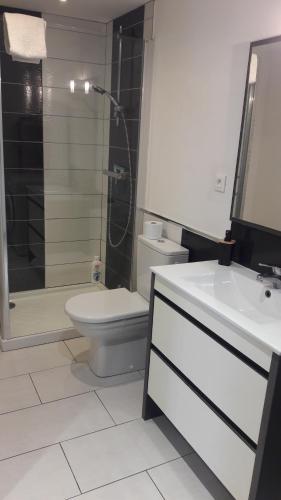 アゴン・クタンヴィルにあるSTUDIO PROCHE DE LA MERのバスルーム(トイレ、洗面台、シャワー付)