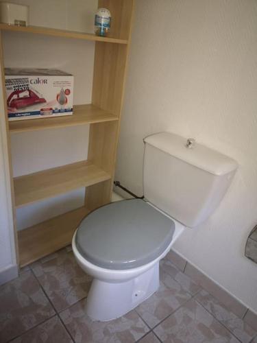 a bathroom with a white toilet in a room at Studio Chaleureux in Albert