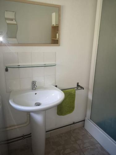 ein Badezimmer mit einem Waschbecken und einem grünen Handtuch in der Unterkunft Studio Chaleureux in Albert