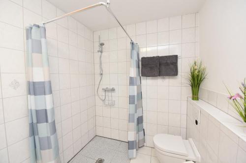 uma casa de banho com um chuveiro e um WC. em Ferienwohnung Emma em Wetzlar