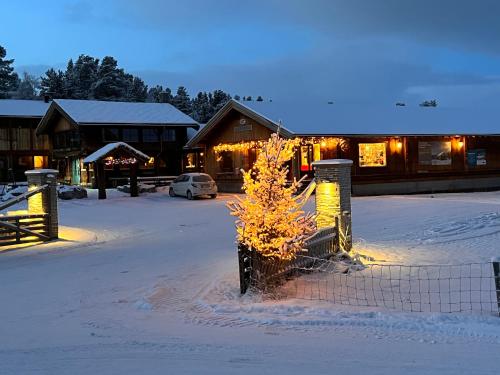 a small tree in the snow in front of a building at Måsåplassen Friisvegen Mountain Lodge in Ringebu