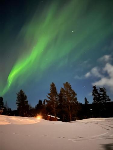 Måsåplassen Friisvegen Mountain Lodge v zimě