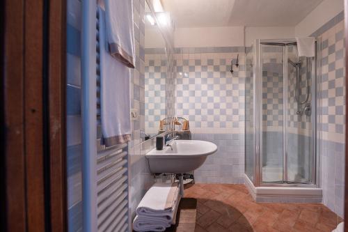 uma casa de banho com um lavatório e um chuveiro em CONVINO em Castiglione Falletto