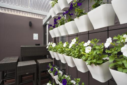 a row of potted plants on a wall at 315 Euro Motel and Serviced Apartments in Dunedin