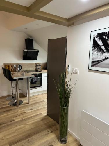 Il comprend une cuisine équipée d'un réfrigérateur noir et d'une table. dans l'établissement Loft ravissant avec parking gratuit, à Colmar