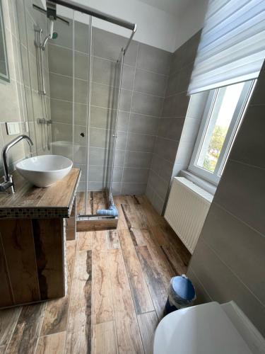 a bathroom with a sink and a shower in it at Gästehaus die Erfurter in Erfurt