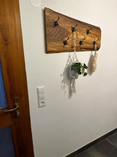 a plant in a pot hanging from a wall at Appartement Maasai Mara mit Whirlpool und Sauna in Bad Saulgau