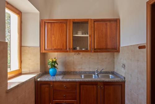 a kitchen with wooden cabinets and a sink at Agriturismo Tesorino in Massa Marittima